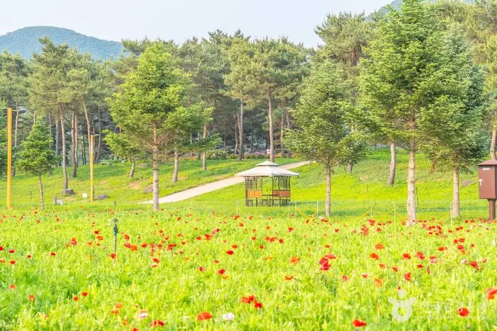 가평 풍경