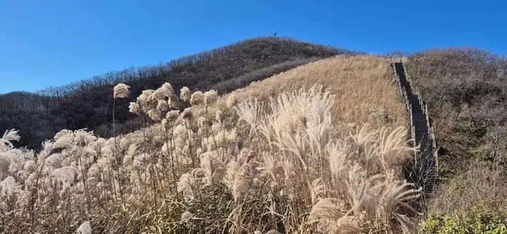 장수 풍경