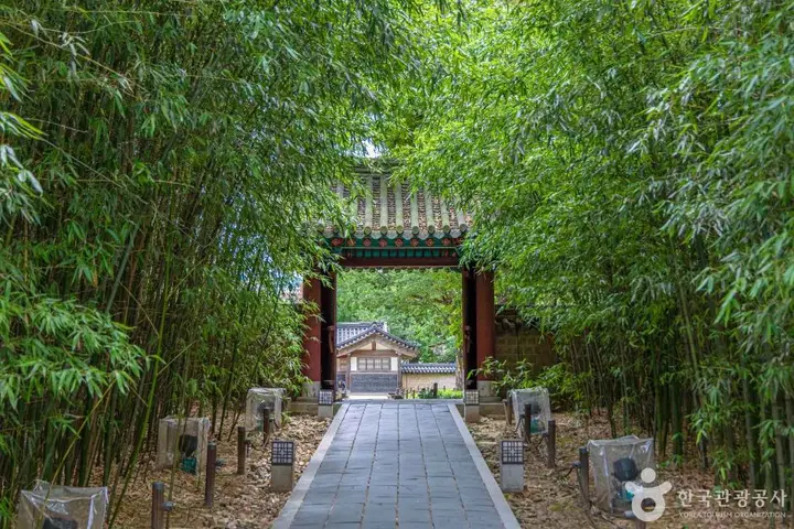 전주 풍경