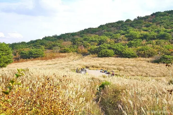밀양 풍경