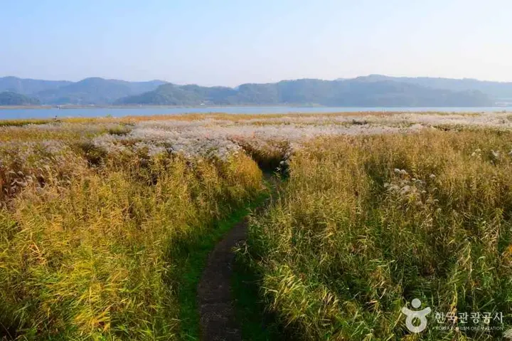 서천 풍경