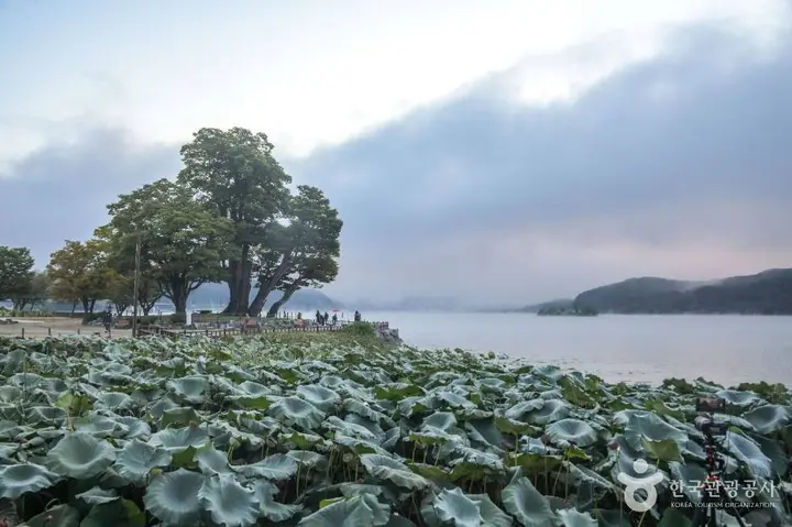양평 풍경