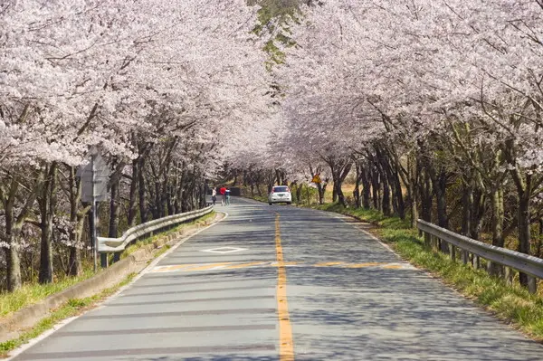 고흥만수변노을공원