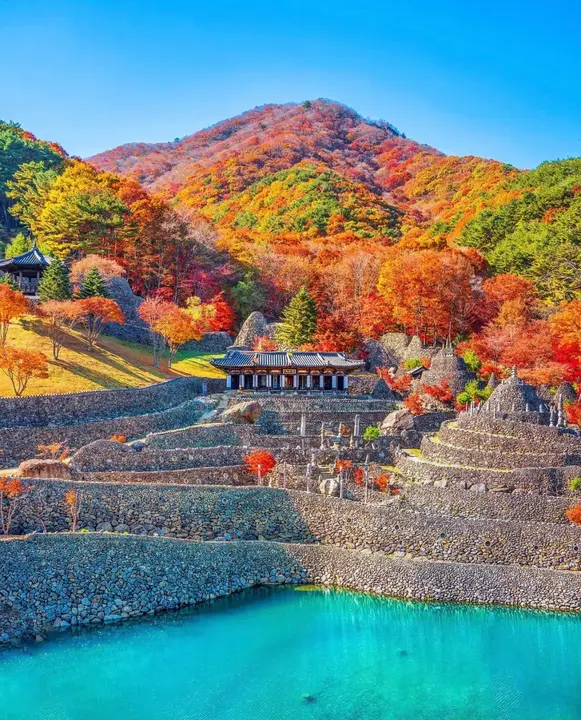 삼성궁