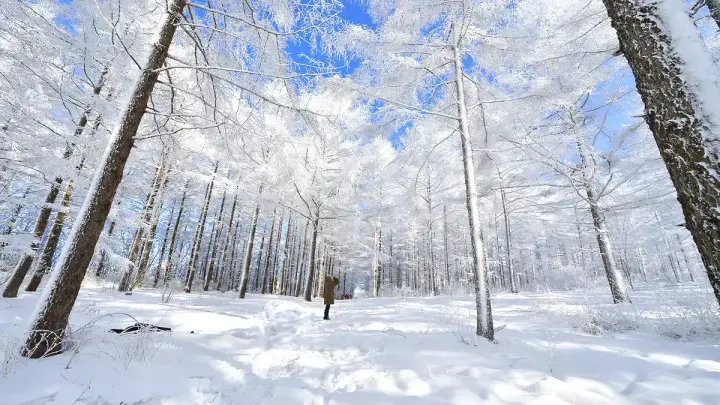 만항재