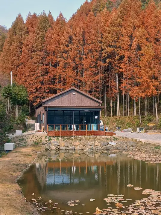 화인산림욕장