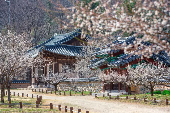 회연서원