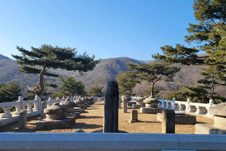 세종대왕 왕자 태실