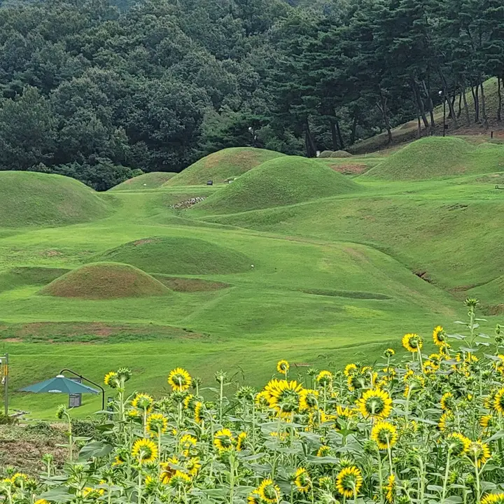 성주성산동고분군