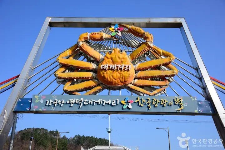 강구항 영덕대게거리