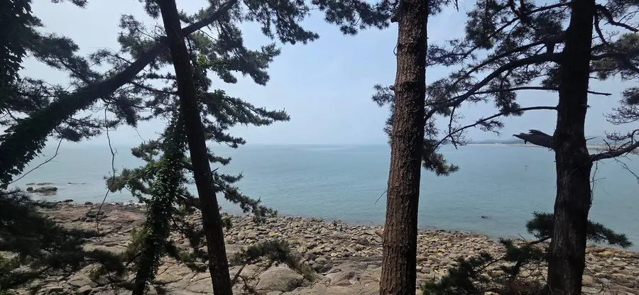 보령 여행자 사진