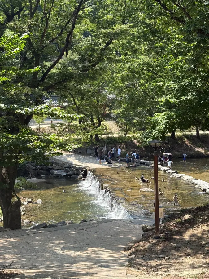 공주 여행자 사진