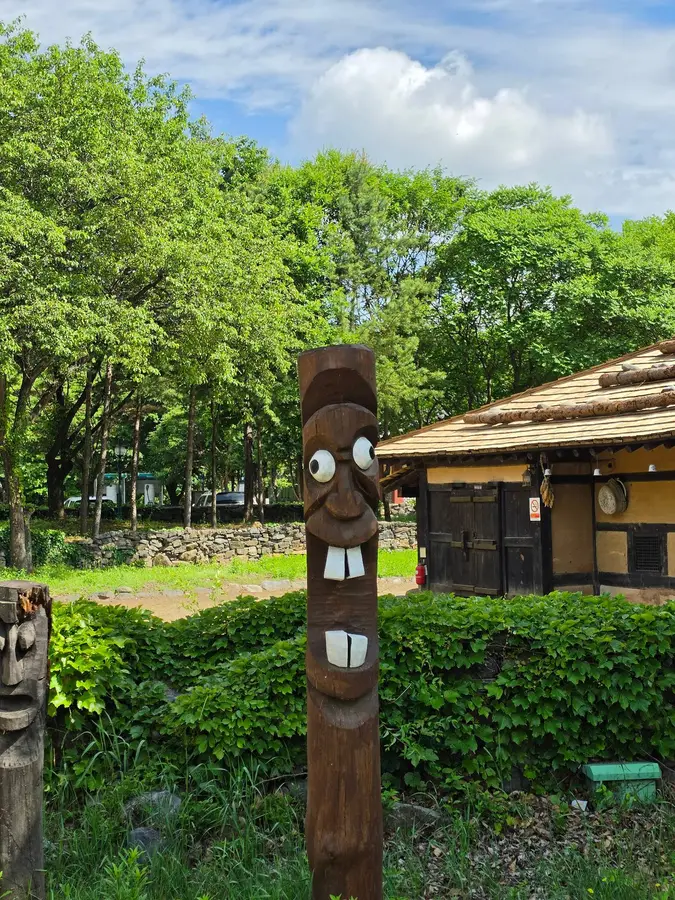 정선 여행자 사진