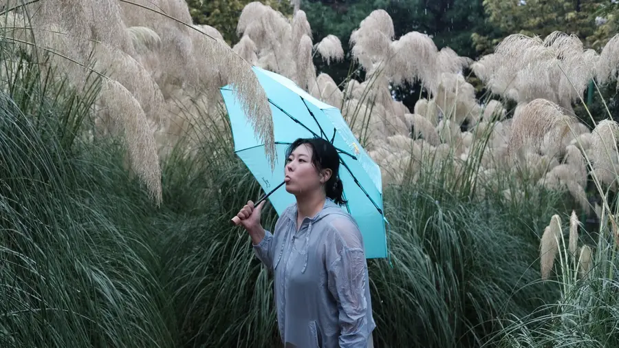 태안 여행자 사진